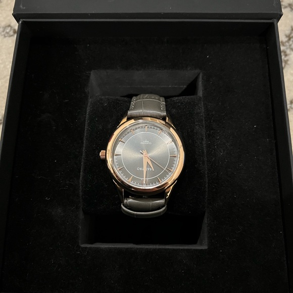 Maestro watch - Picture 1 of 7